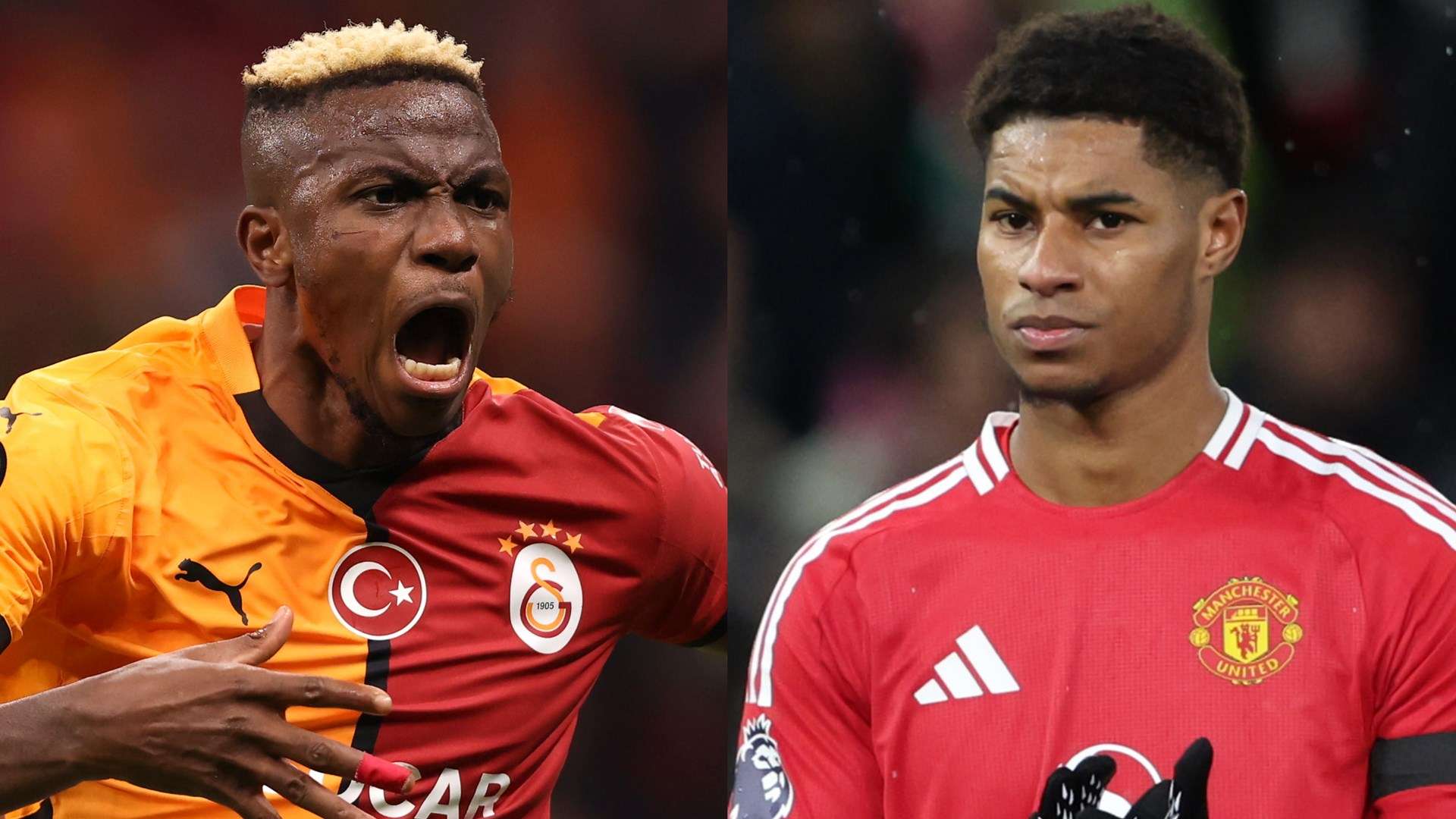 我们展示了 我们展示了