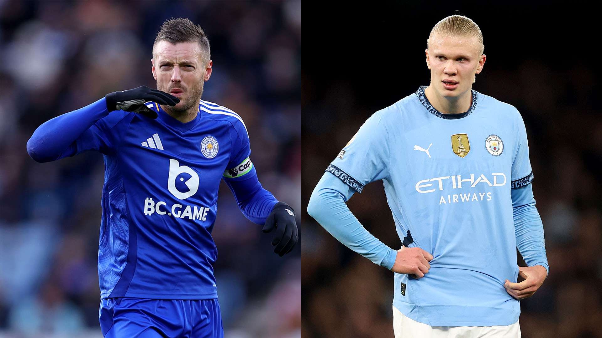 强调各自的 强调各自的